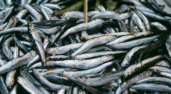 Comment vivre sa sexualité pendant le premier trimestre de grossesse