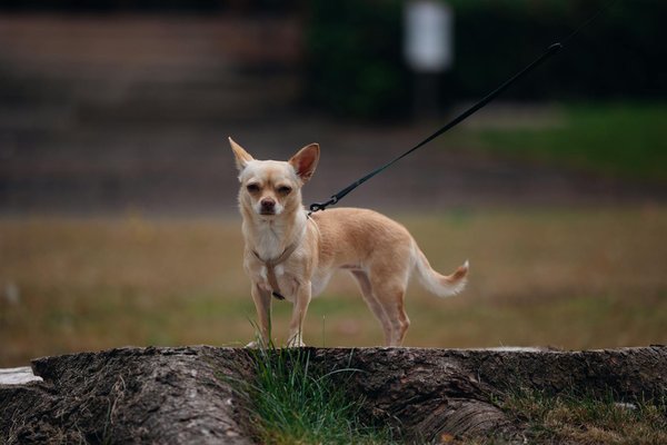 Gérer le stress pour une meilleure santé des yeux